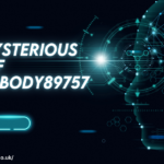 The Mysterious Rise of iamnobody89757