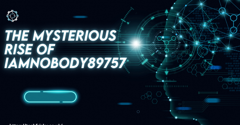 The Mysterious Rise of iamnobody89757