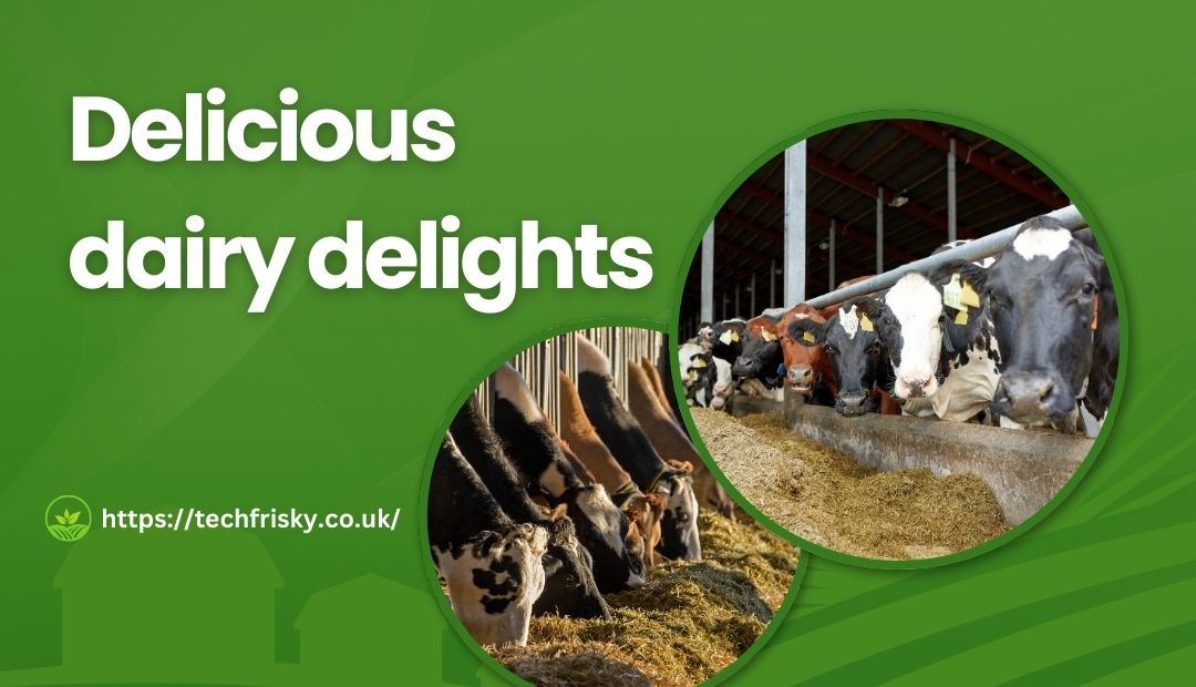 Delicious dairy delights