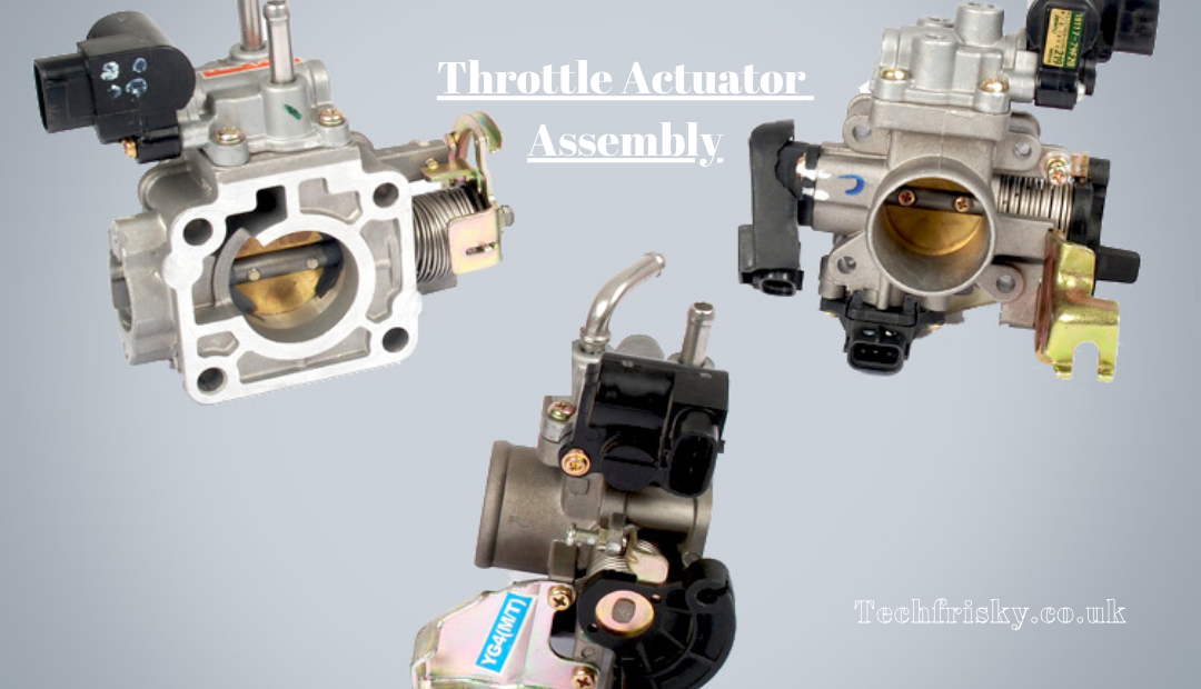 Throttle Actuator Assembly