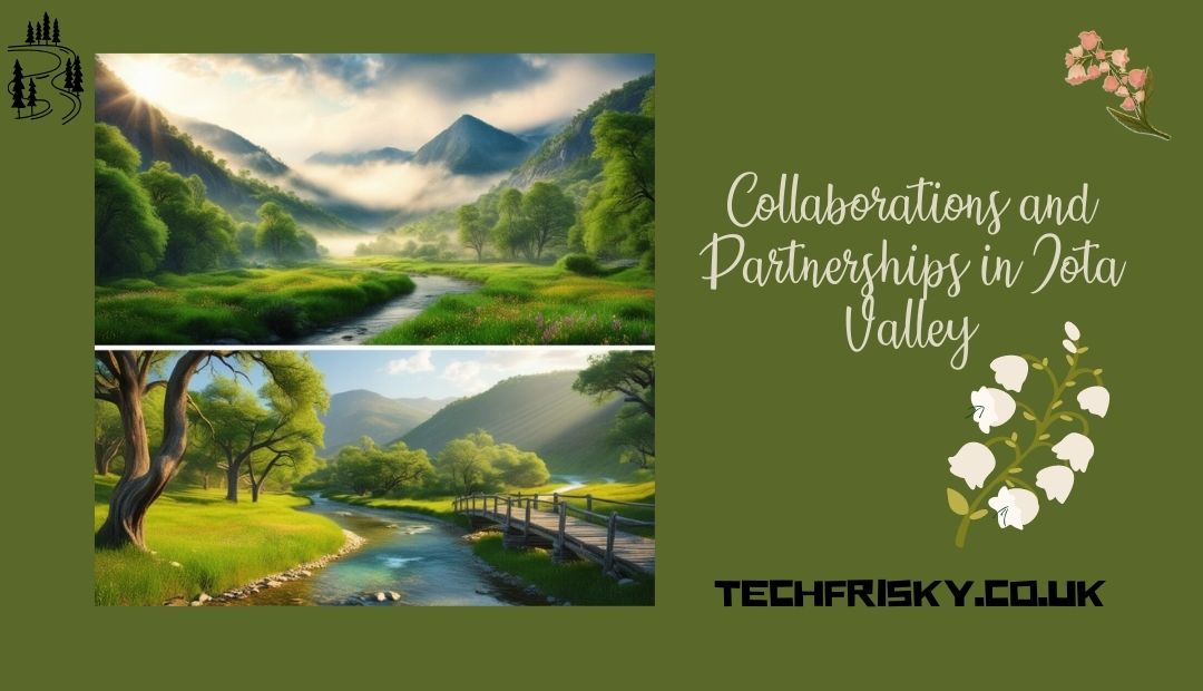 Collaborations and Partnerships in Iota Valley