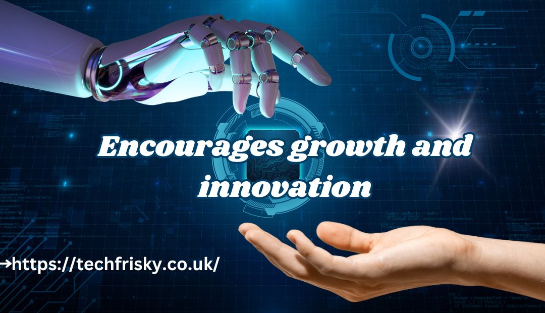 Encourages growth and innovation