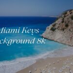 miami keys background 8k