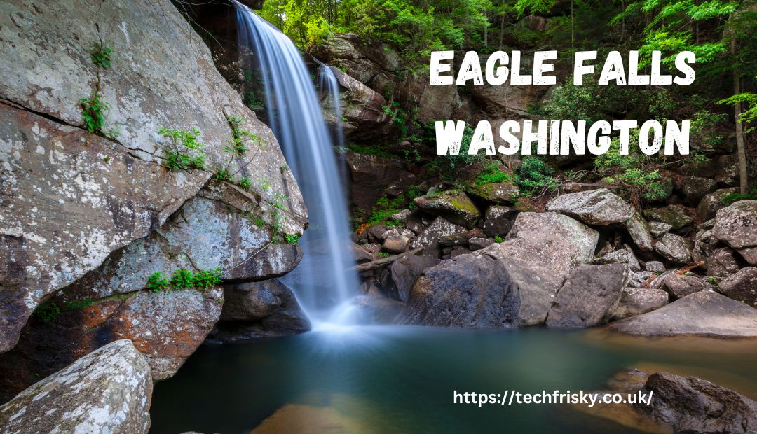 eagle falls washington