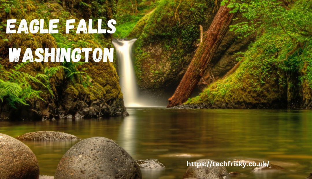 eagle falls washington